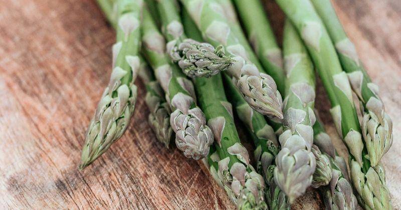 Unsplash/micheile henderson